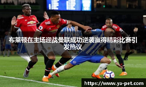 mk体育官网