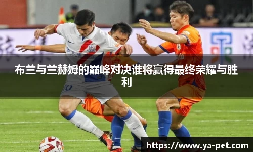 mk体育官网