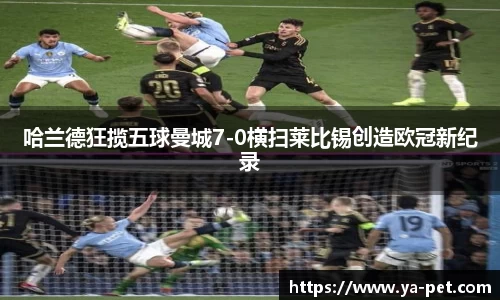 mk体育