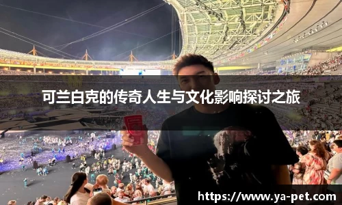 mk体育