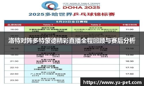 洛特对阵多特蒙德精彩直播全程回顾与赛后分析