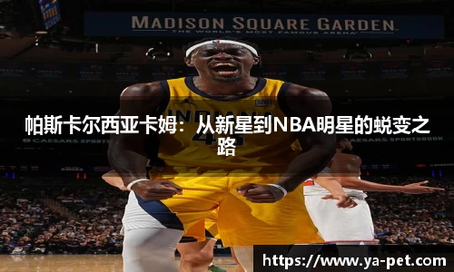 mk体育官网
