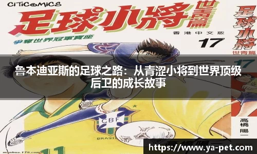 mk体育