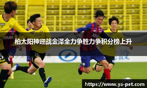 mk体育