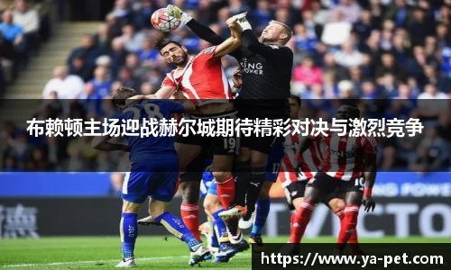 yy易游布赖顿主场迎战赫尔城期待精彩对决与激烈竞争